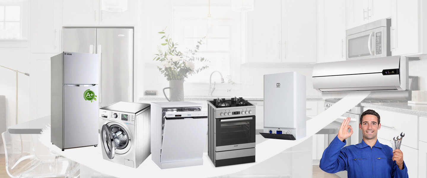 Sarıoğlan Electrolux Servisi